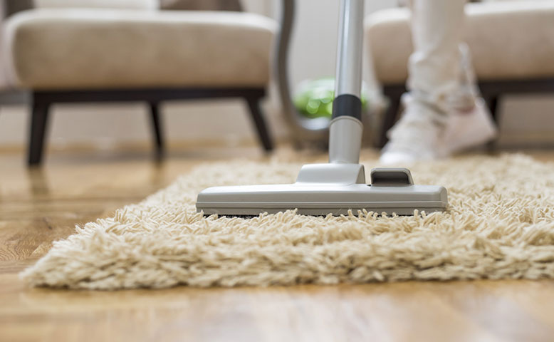 Prolong The Life And Preserve Your Investment With Pro Carpet Cleaning